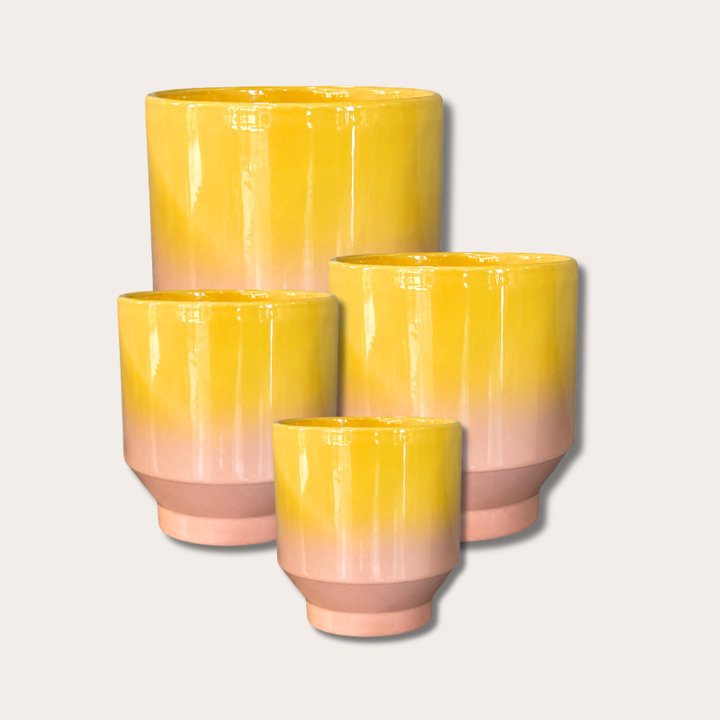 Pot - Pato - Roze/Geel