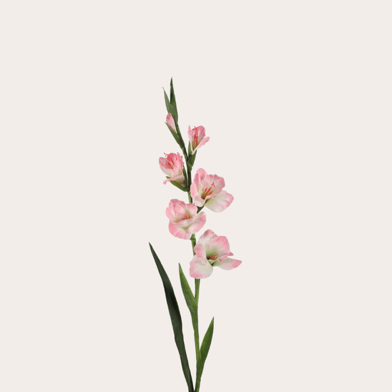Zijden bloem - Gladiolus - roze
