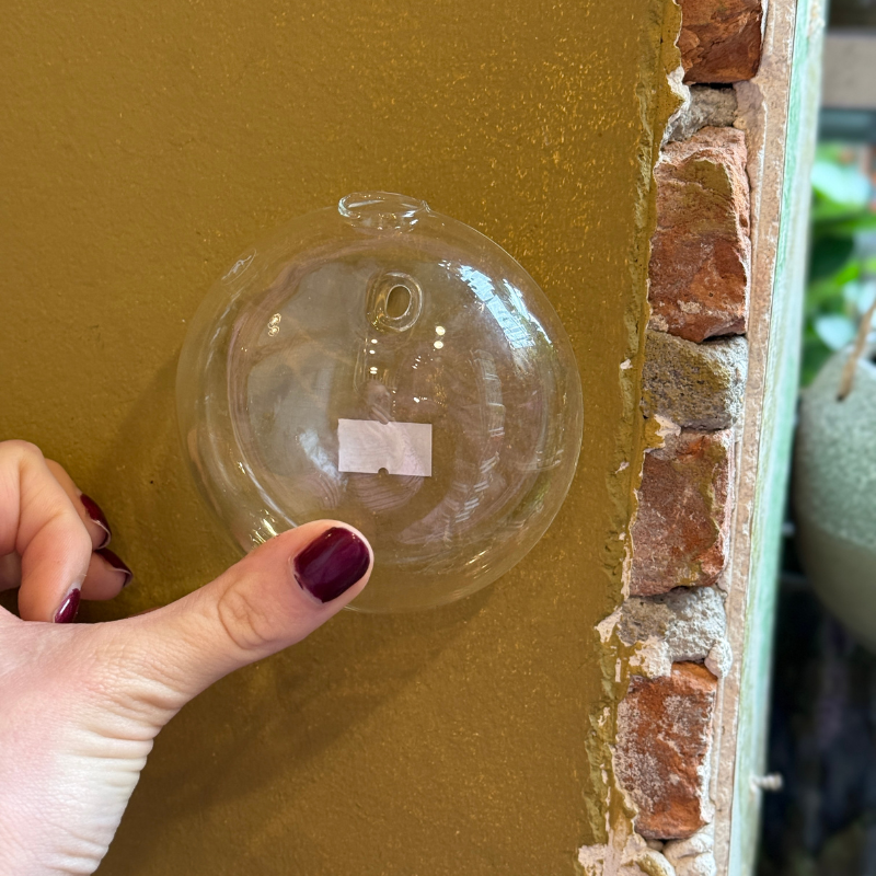 Wandvaasje Glas - Kling - Rond, bol - S
