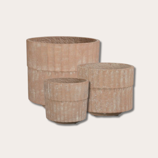 Pot - Vex - terra