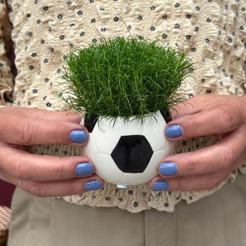 Sagina - in WK voetbal potje - mini