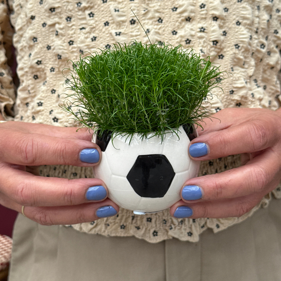 Sagina - in WK voetbal potje - mini
