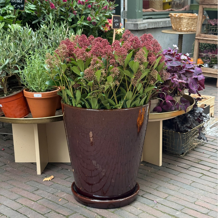 Geglazuurde pot met schotel - Abby - Bruin