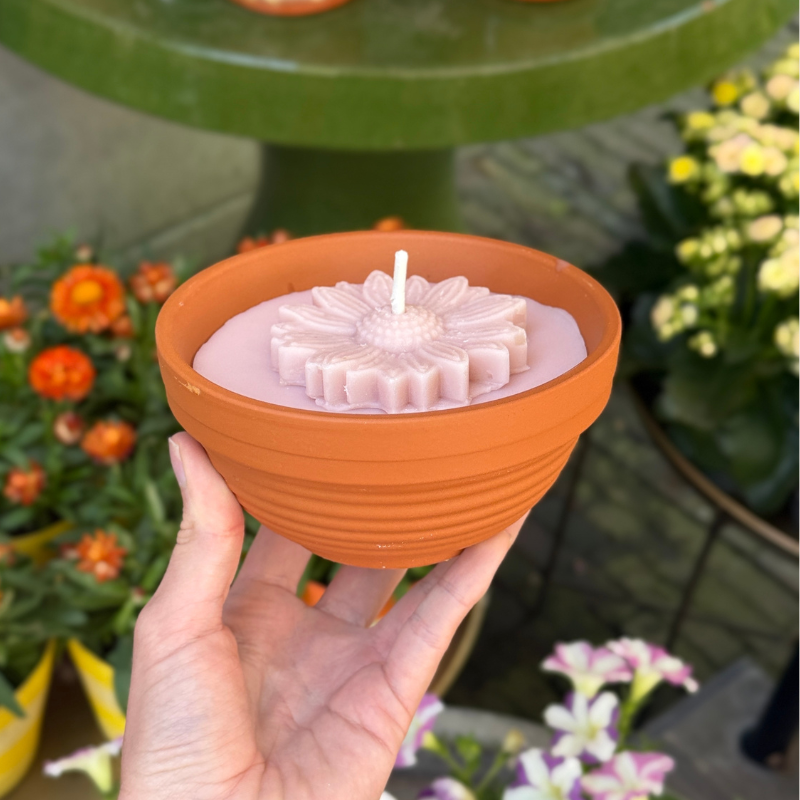 Buiten kaars -  terracotta pot - Magnolia