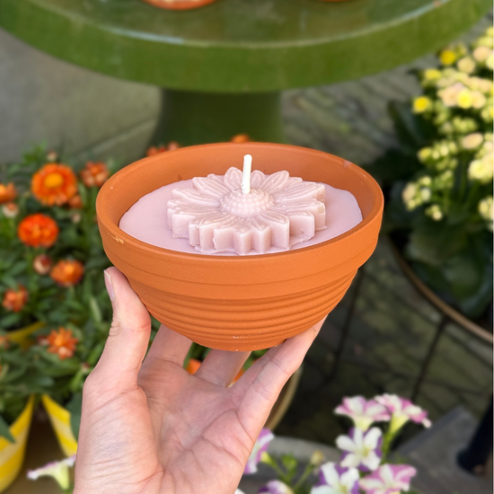 Buiten kaars -  terracotta pot - Magnolia