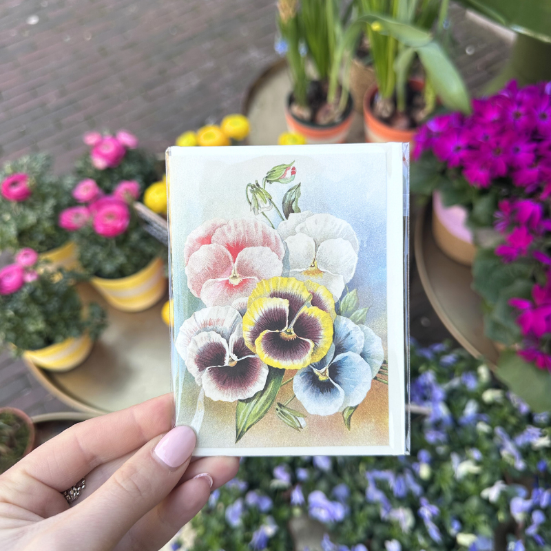 Wenskaart - Viooltje - Pastel
