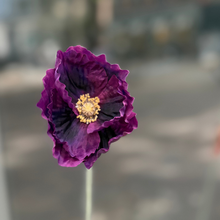 Zijden bloem - Klaproos - paars
