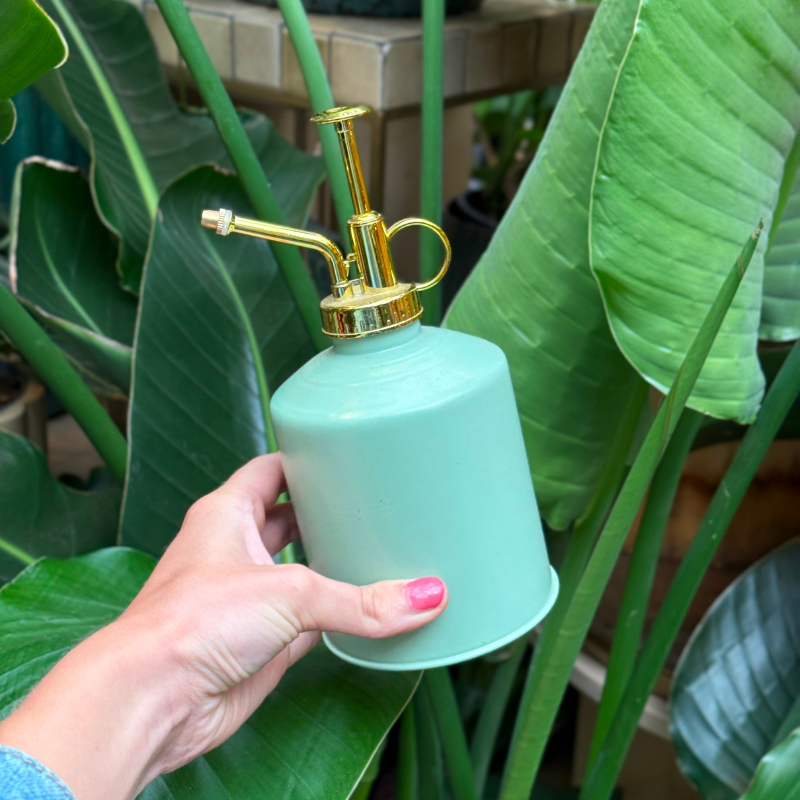 Planten spray - Mintgroen