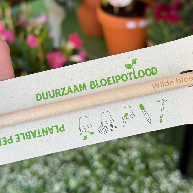 Bloei potlood - organic
