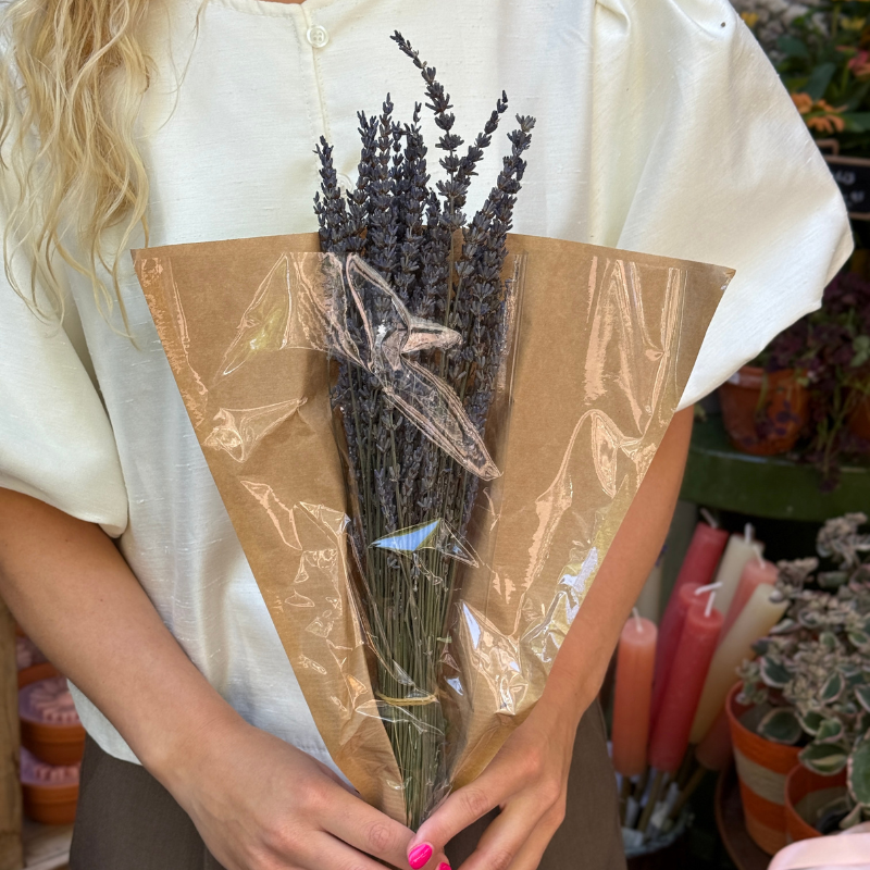 Lavendel - bosje