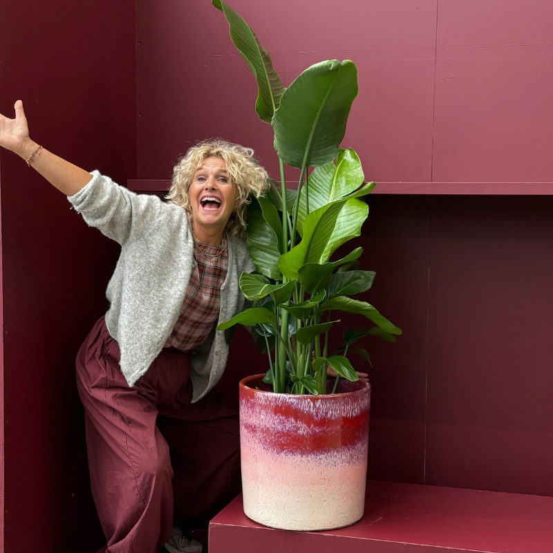 Geglazuurde pot - Cleo - Bordeaux/roze overloop