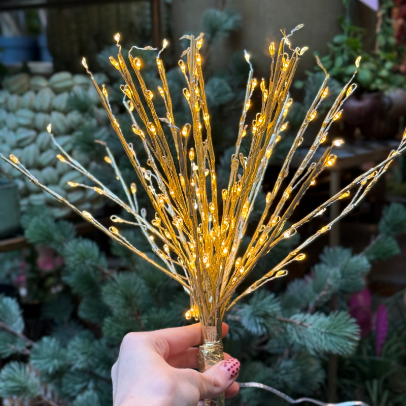 Kerstverlichting - Rudy - Warm wit