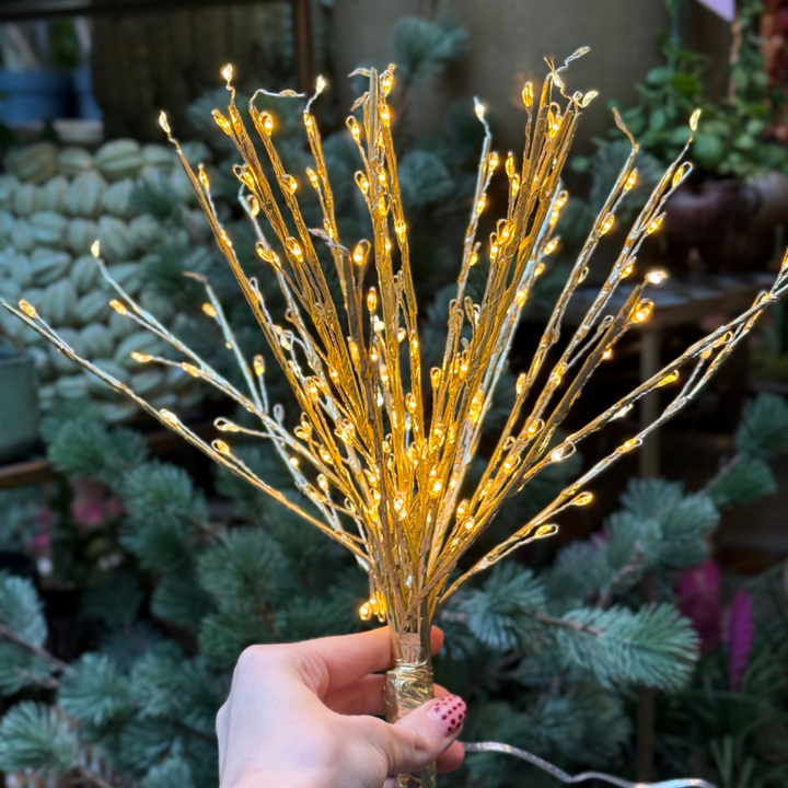 Kerstverlichting - Rudy - Warm wit