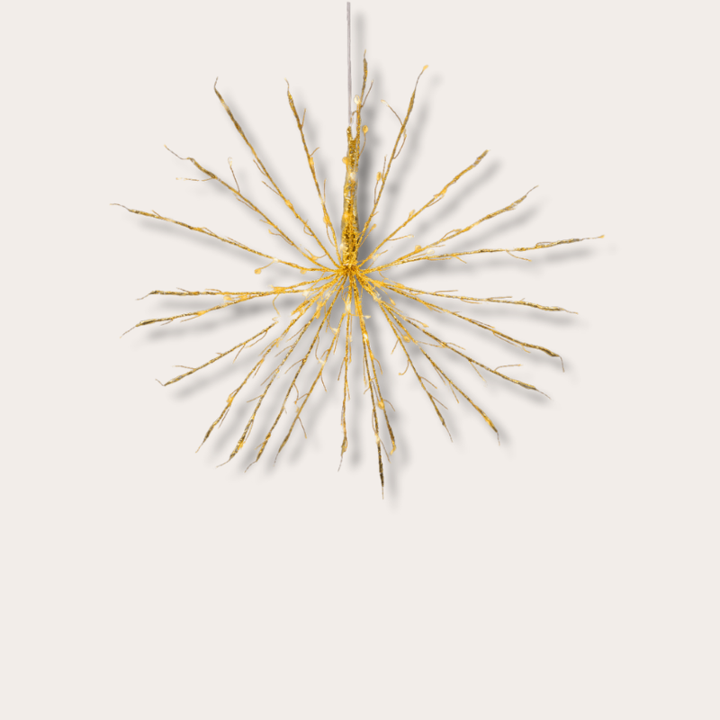 Kerstverlichting - Rudy - Warm wit