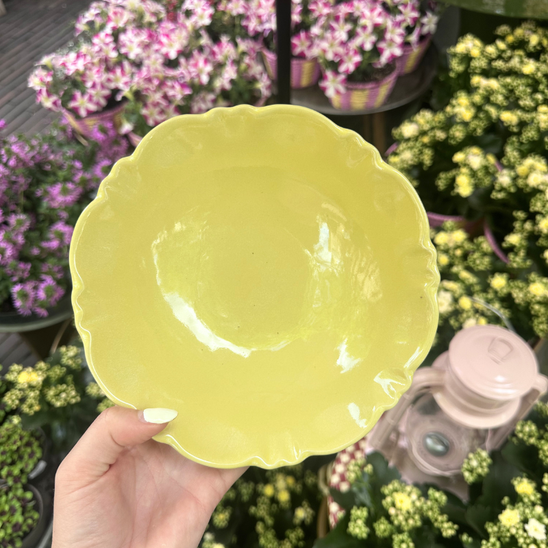 Schaal Moris - Agua Limon - XS