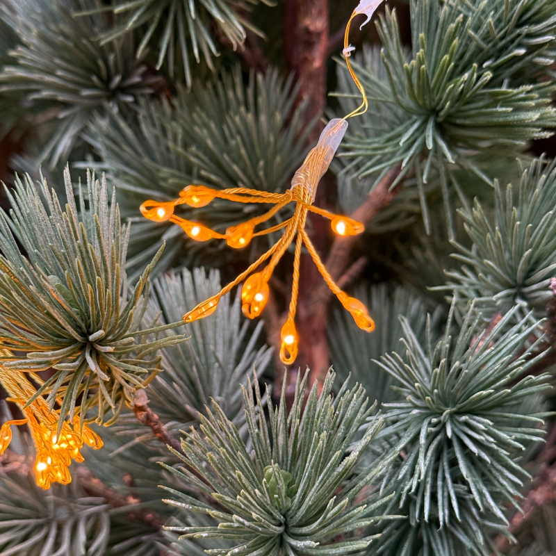 Kerstverlichting - Florien - warm