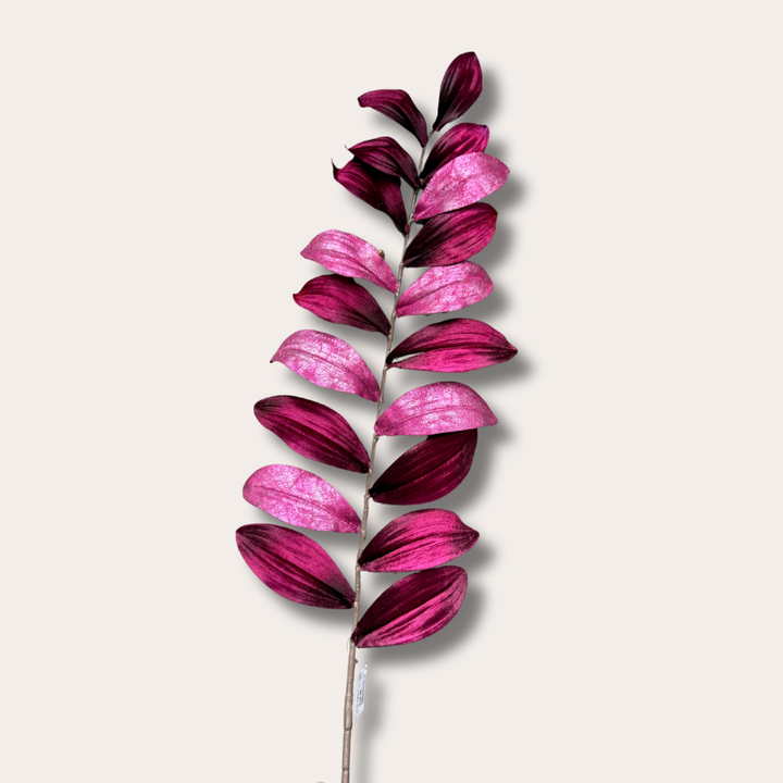 Zijden bloem - Zamifolia - Paars