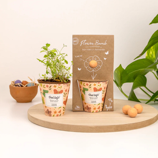 Zaadbommen growkit - Veel liefs