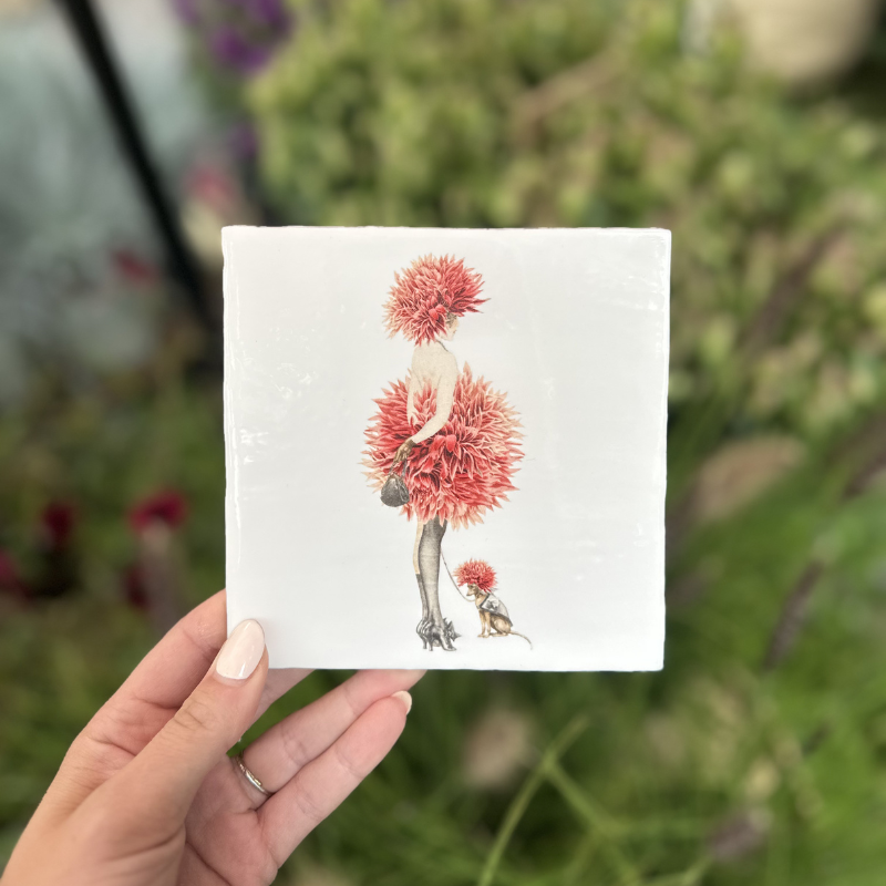 Tegel - Chrysantenjurk