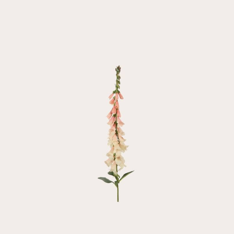 Zijden bloem - Digitalis stem fuchsia zalm