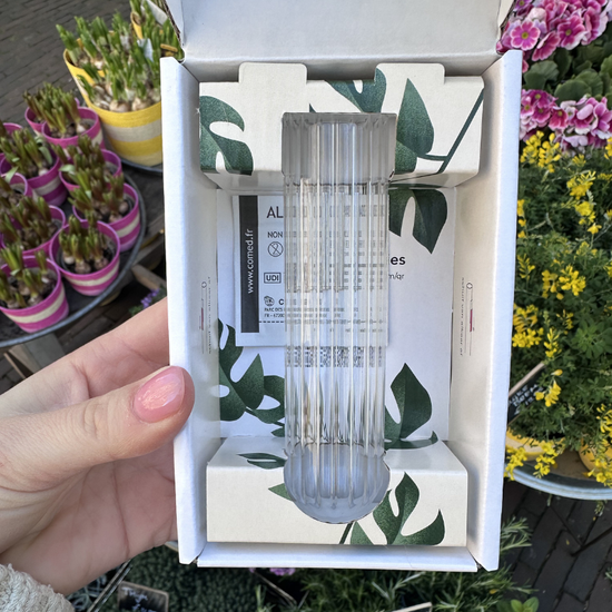 Muurbloempjes 1 planthanger XL - transparant