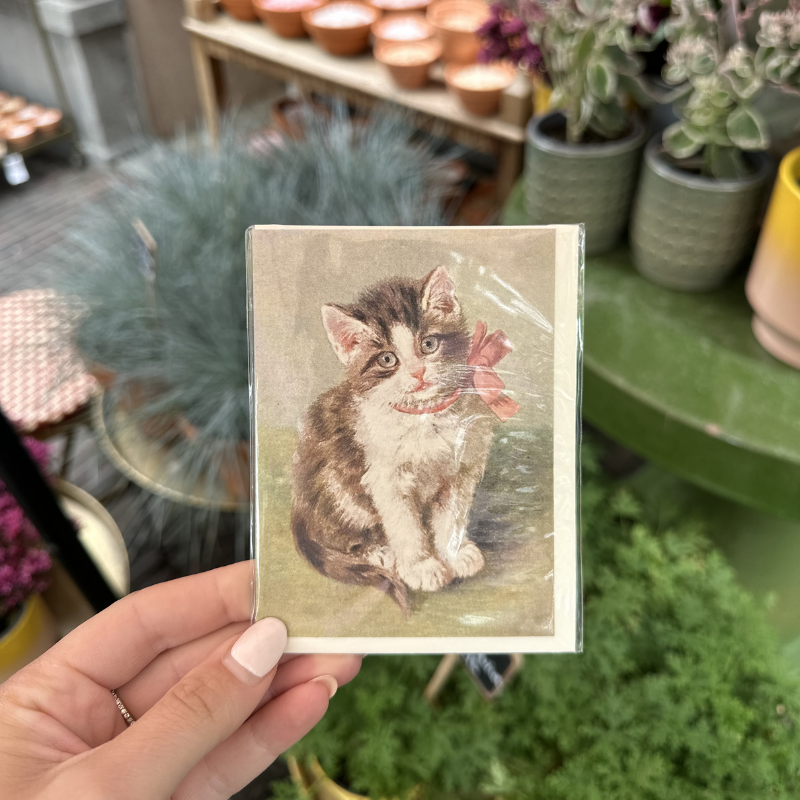 Wenskaart - Kat