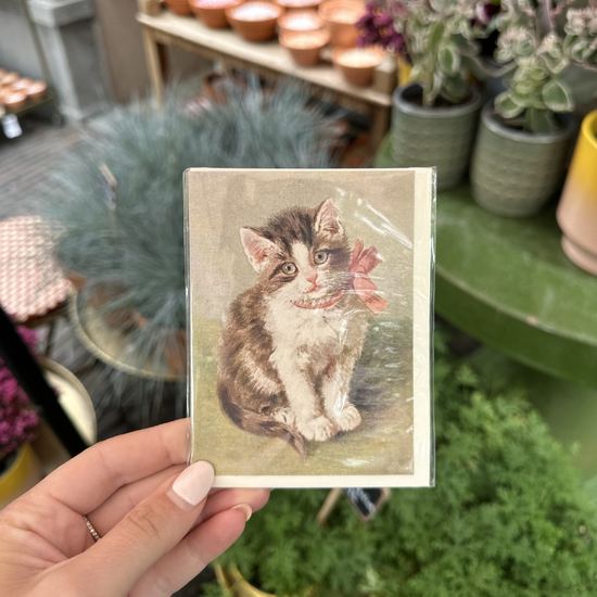 Wenskaart - Kat
