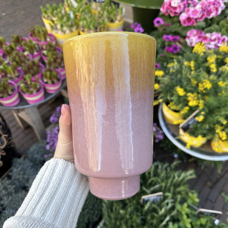 Vaas - Zola - Roze/oker