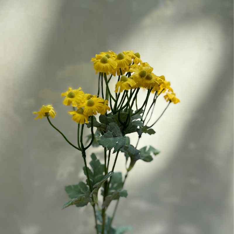 Zijden bloem - Madelief - zacht geel