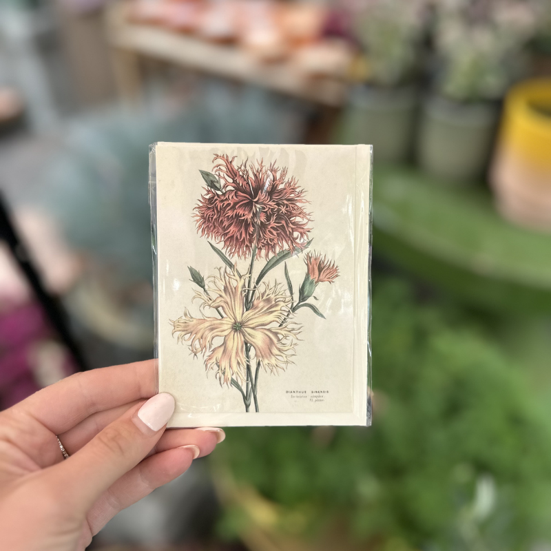 Wenskaart - Bloem