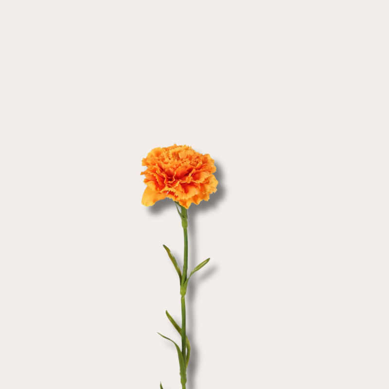 Zijden bloem - Anjer - Oranje