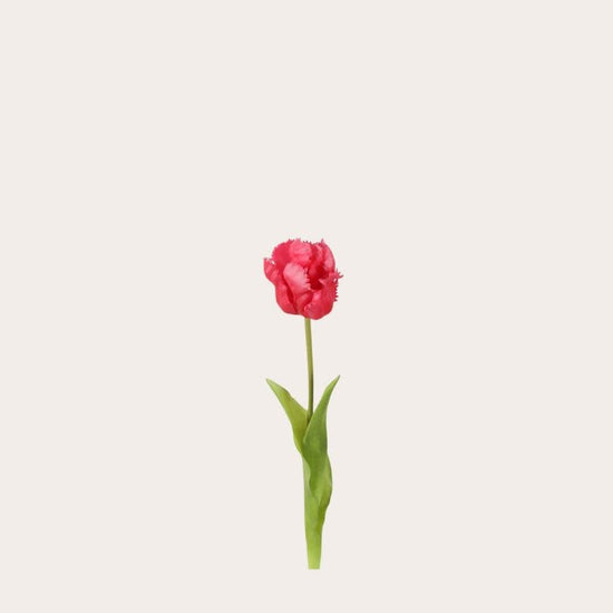 Zijden bloem - Papegaai Tulp enkel - fuchsia