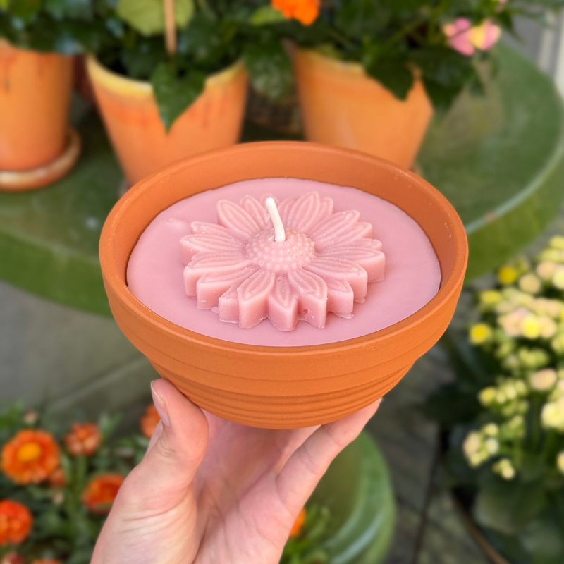 Buiten kaars -  terracotta pot - Blush
