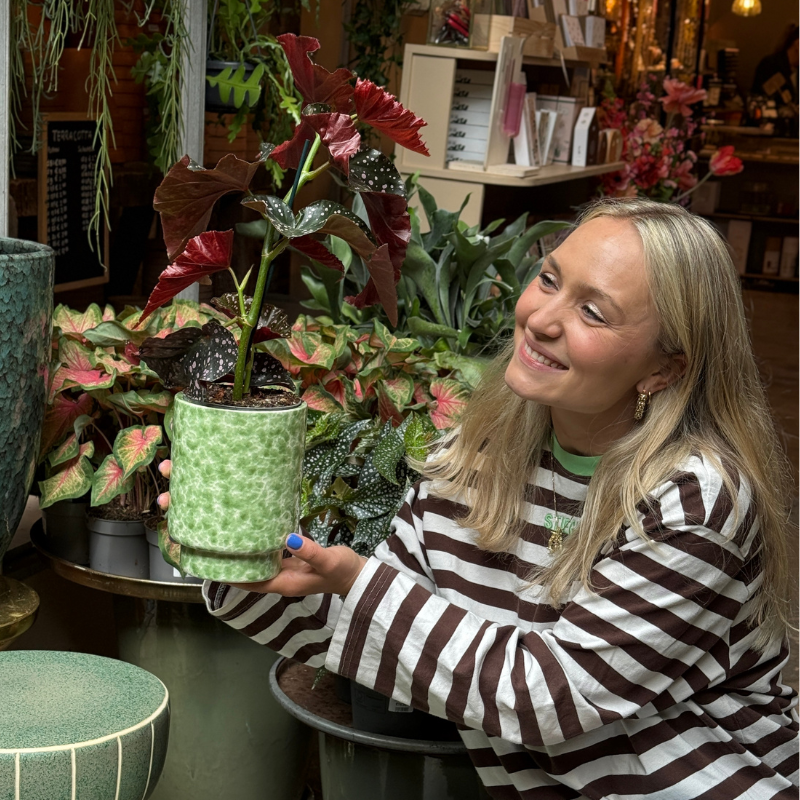 Pot - Bibi - Gevlekt - groen