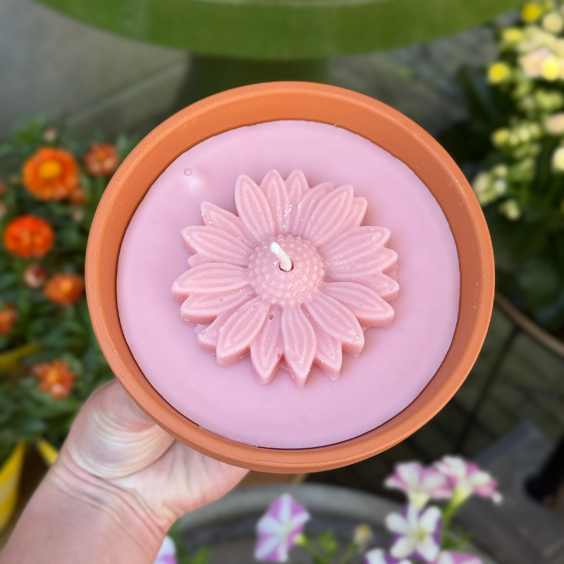 Buiten kaars -  terracotta pot - Blush