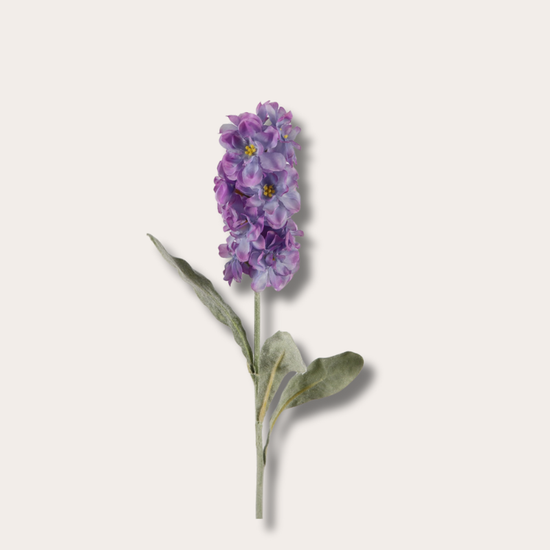 Zijden bloem - Matthiola - paars