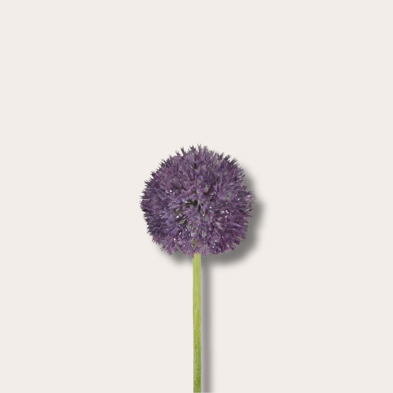 Zijden bloem - Allium Stem - Donker paars