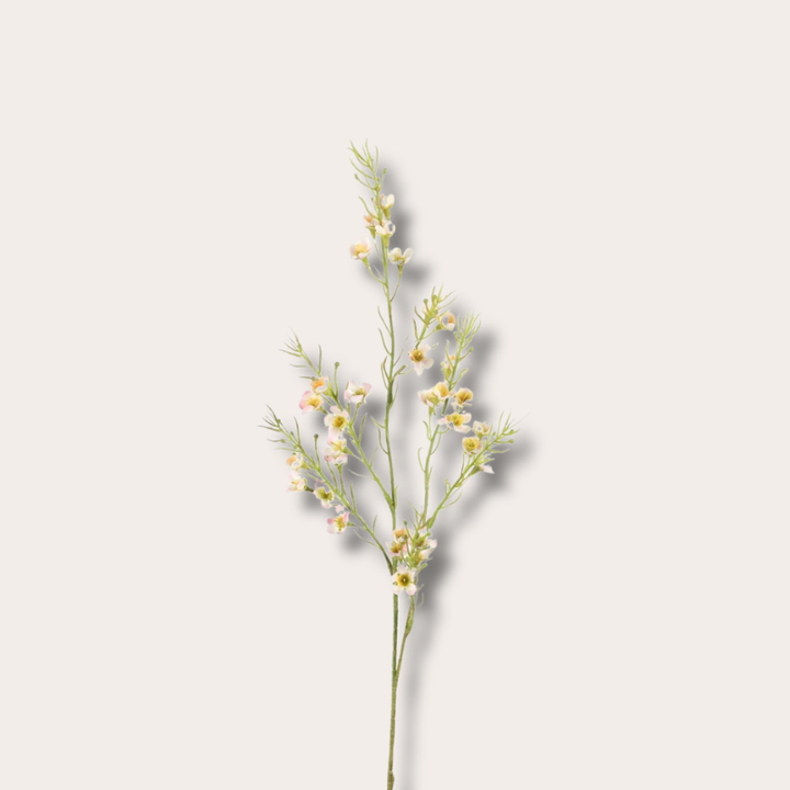 Zijden bloem - Wax Flower - Licht roze