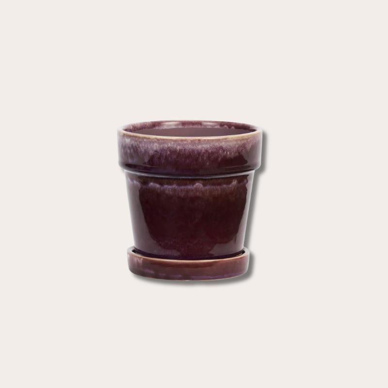 Pot met schotel - Aubergine