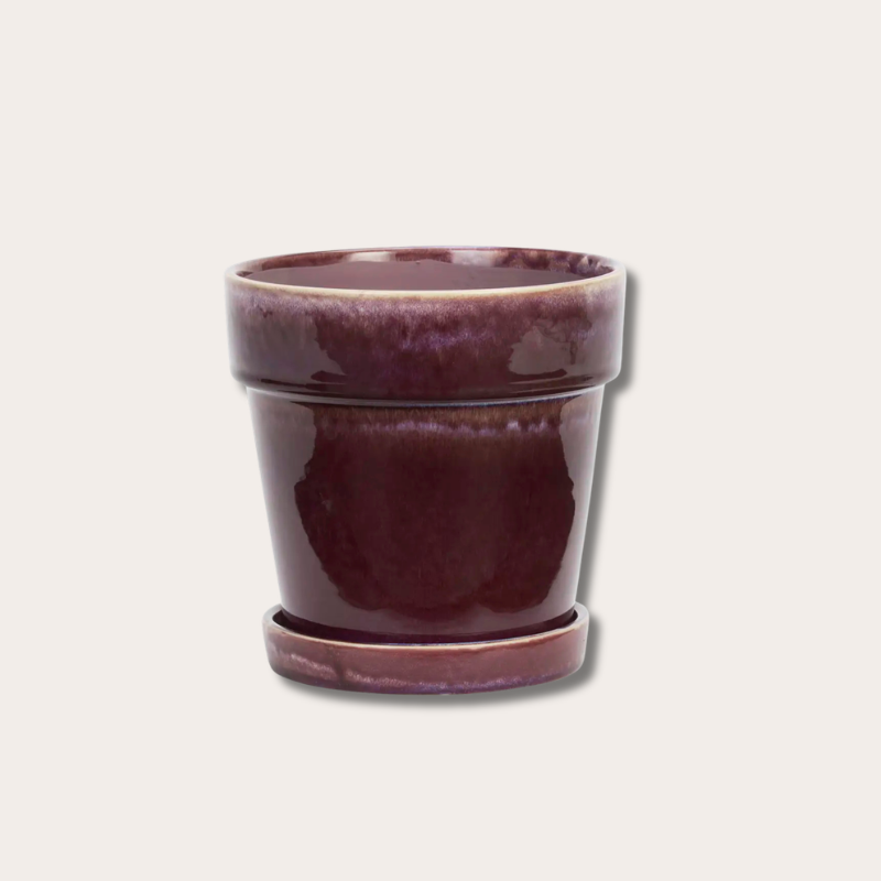 Pot met schotel - Aubergine