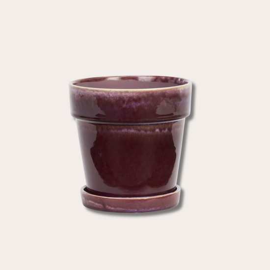 Pot met schotel - Aubergine