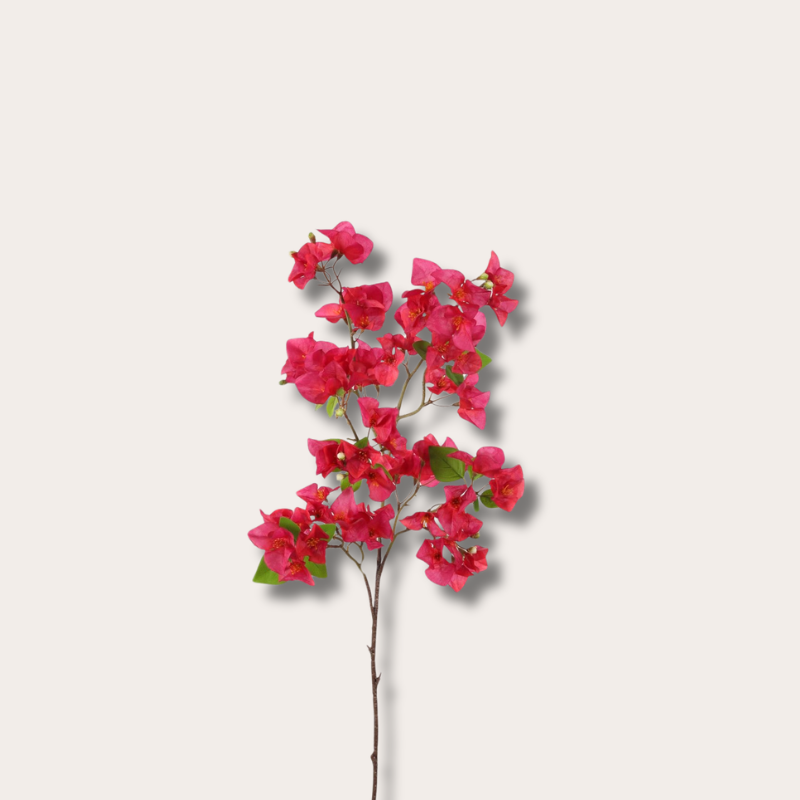 Zijden bloem - Bougainvillea - Fuchsia