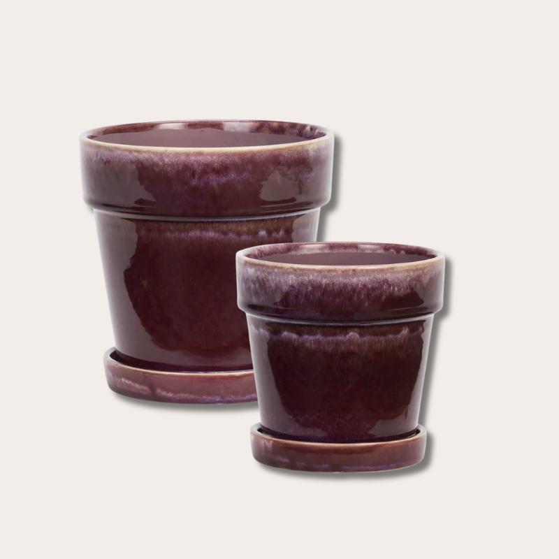Pot met schotel - Aubergine