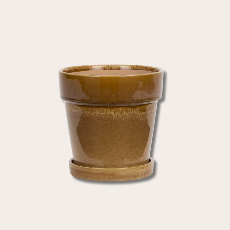 Pot met schotel - Mosterdgeel