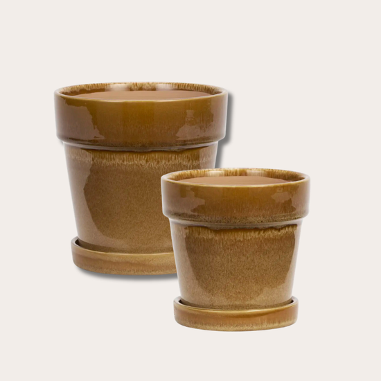 Pot met schotel - Mosterdgeel