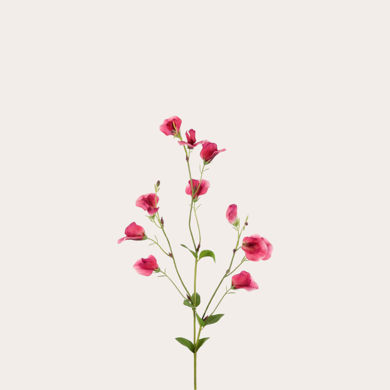 Zijden bloem - Pronkerwt - roze