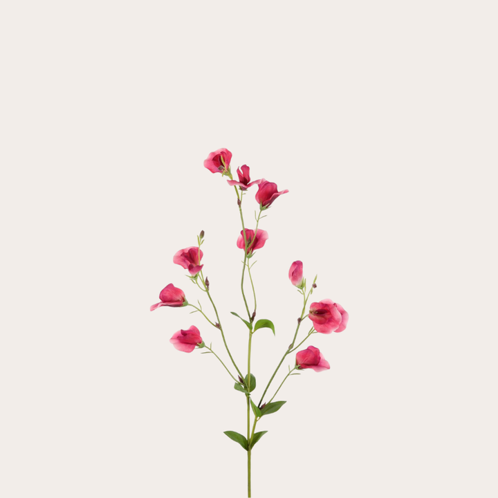 Zijden bloem - Pronkerwt - roze