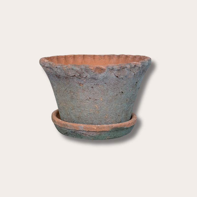 Pot - Ibiza - Schulp - terracotta M