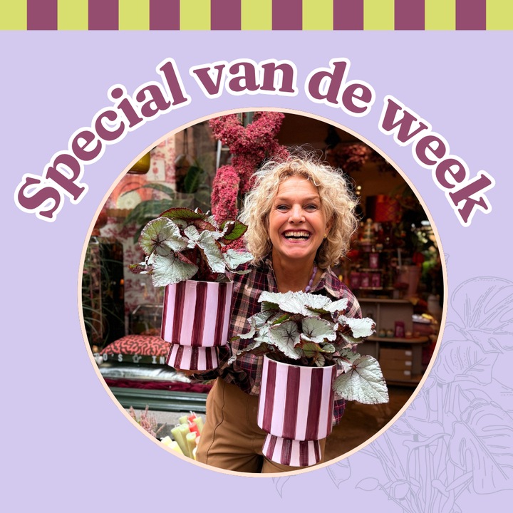 Groene Vingers Special van de week