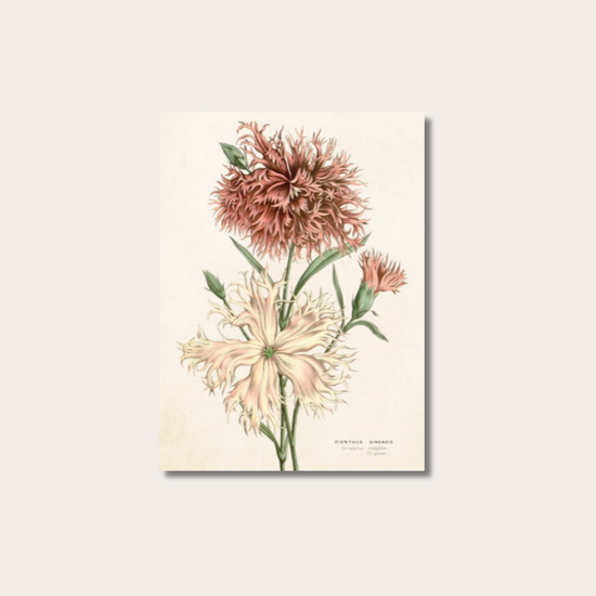 Wenskaart - Bloem
